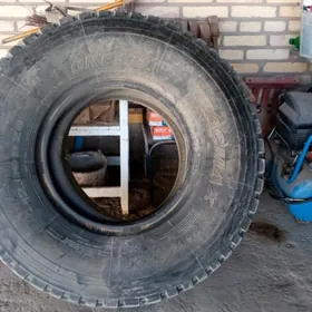 balon maz 12 pik Taze 99%