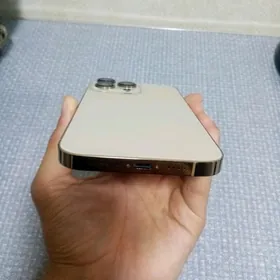 IPhone xs 16 pro owurlen