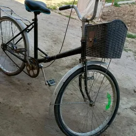 24 lik yaponuski Velik