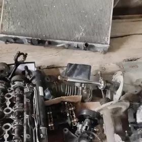 öküz kele kemriň zapjaslary