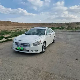 Nissan Maxima 2010