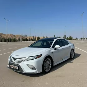 Toyota Camry 2019