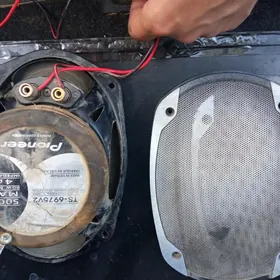 Pioneer nikl kalonka