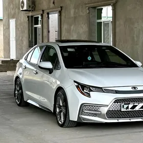 Toyota Corolla 2019
