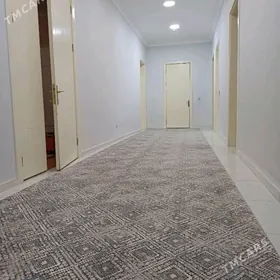 16 этап от хозяина