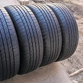 205.65.15  komplekt 2024ý