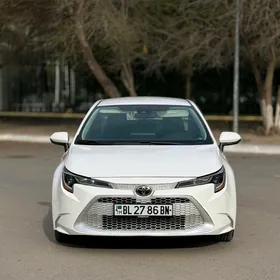 Toyota Corolla 2020
