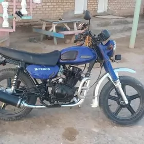 Fekon FK200-14G 2019