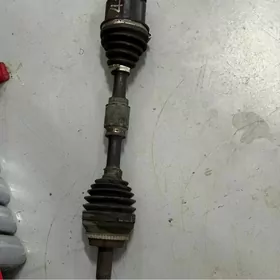 Palta Camry cep granat