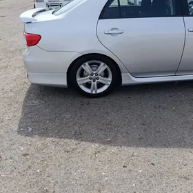 karolla diska 17 lik