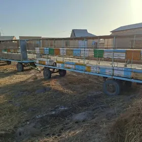 Bal ary saklamak  Пчеловодство