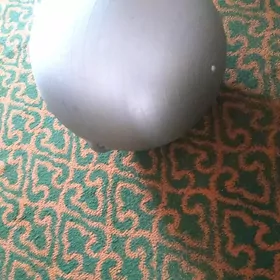 гимнастический шар