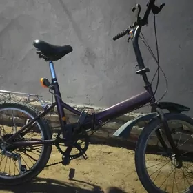 wellik kama dubayskiy