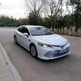 Toyota Camry 2019