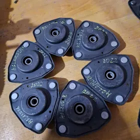 Highlander ryçag kulak apora