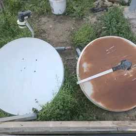 кичи антена ики саны галовка