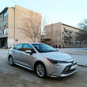 Toyota Corolla 2020