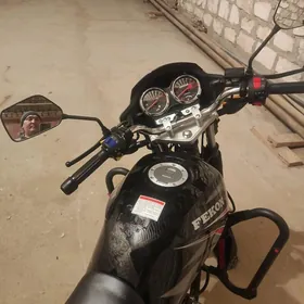 Fekon FK200-14G 2026