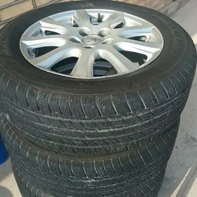 17lik disga pakryşga.