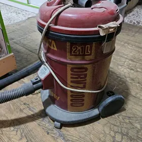 Palisos tozan soryjy