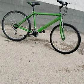 TIGIR 26LIK TURKMENISTAN