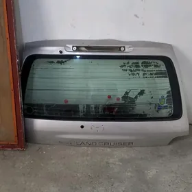 100 LIK BAGAC MORDA ZATLAR