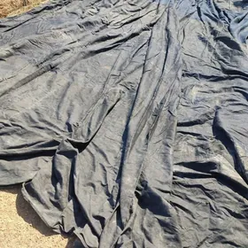 jynsy matadan brzent