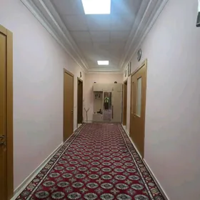 SATLYK ELITKA.. САТЛЫК ЭЛИТКА.