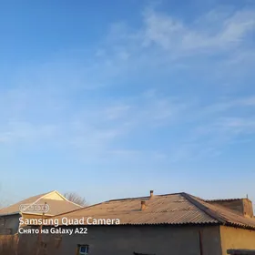 agaç pylan jaý üssü strapile