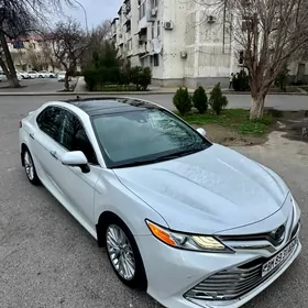 Toyota Camry 2019