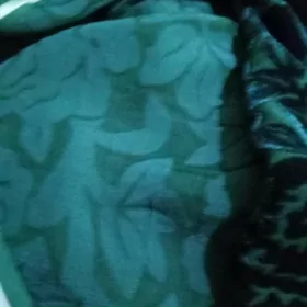 gadymy gulli pombarht