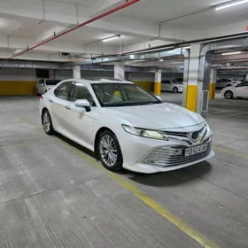 Toyota Camry 2019