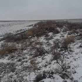 ekin meydan muluk yeri