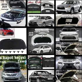 KAPOT KEÇELERI ZAWOTSKOY.