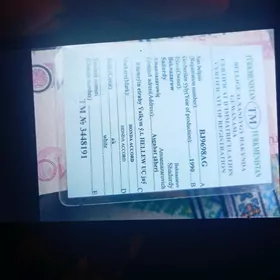 tex pasport yitirdim