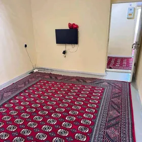 Satlyk Gagarin 2 komnat