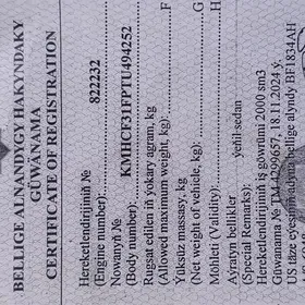 Teh pasport yytyrdym