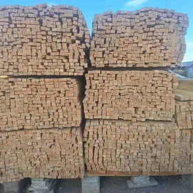 agaç reýka reyke strapila