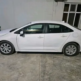 кароллаkalpak diska