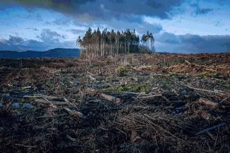 BMG: 2025-nji ýyl soňky 176 ýylyň içinde iň yssy ýyllaryň biri boldy