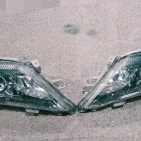 okuzkelle Fara depo raboçy