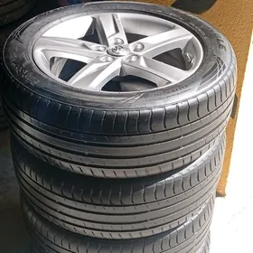 Palta Cemry 17 lik SKlas Disga