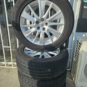 Diska Highlandr 19 limitet