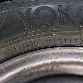 teker diska karollo radnoý