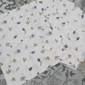 Ýassyk daşy _ prostin