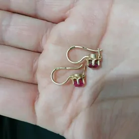 Gadym gyzyl 583 Çaganky