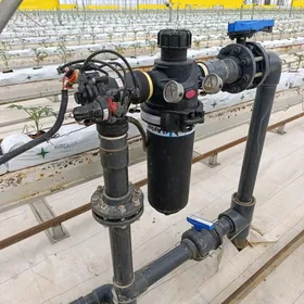 Parnyga işgär gerek