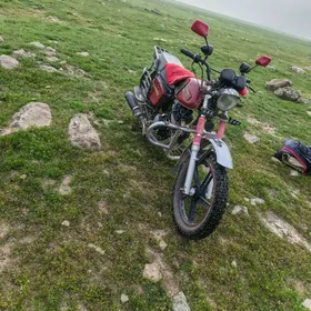 Fekon FK200-14G 2023