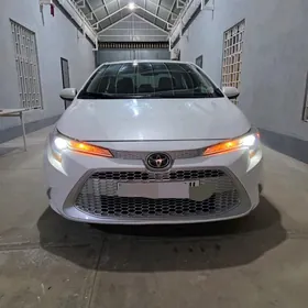 Toyota Corolla 2022