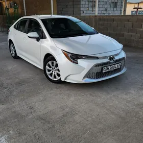Toyota Corolla 2021